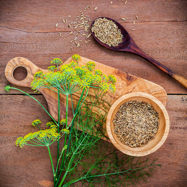 Aprendiendo a preparar té de eneldo para bajar de peso