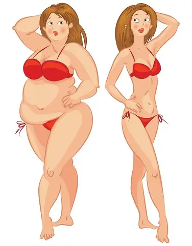 hormonas quemagrasa ilustracion de mujer gorda antes y despues