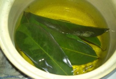 Preparando una infusión de hojas de mango