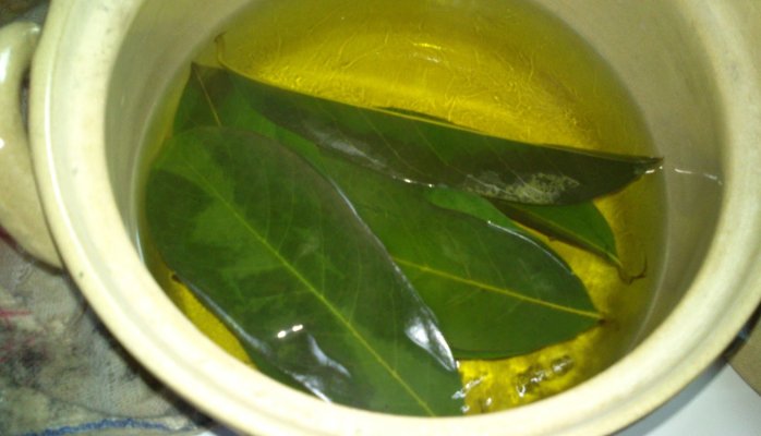 Preparando una infusión de hojas de mango