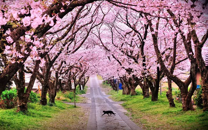 verdadera edad cuestionario paisaje 5