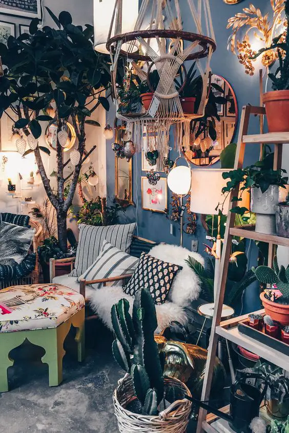 Una planta en la decoración de la casa