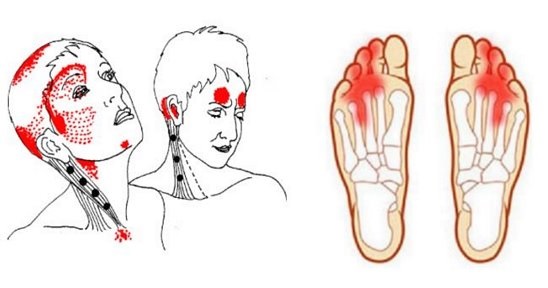 deficiencia de vitamina b12 gráfico