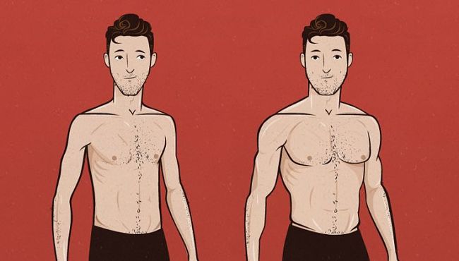 masa muscular en el hombre