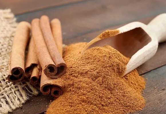 canela en polvo para los problemas gastrointestinales