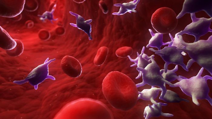 hemograma para analizar la sangre