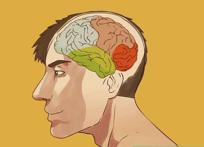 Cómo lo arándanos pueden prevenir el Alzheimer
