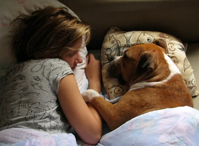 dejar al perro dormir en la cama