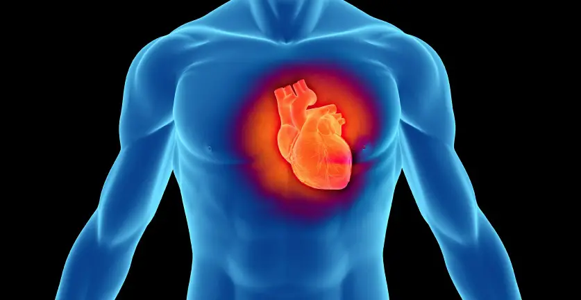 fortaleciendo el corazón con estos alimentos