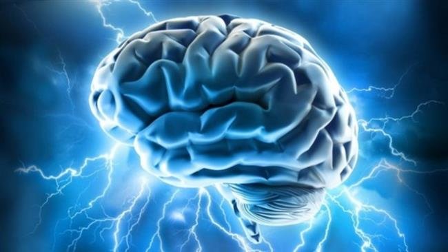 el cerebro de una persona