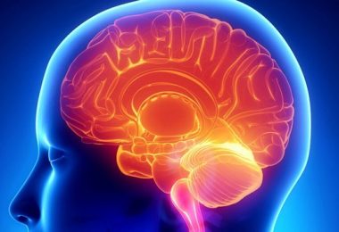 los efectos negativos que ocasiona el azúcar en nuestro cerebro