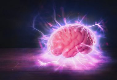 cerebro humano