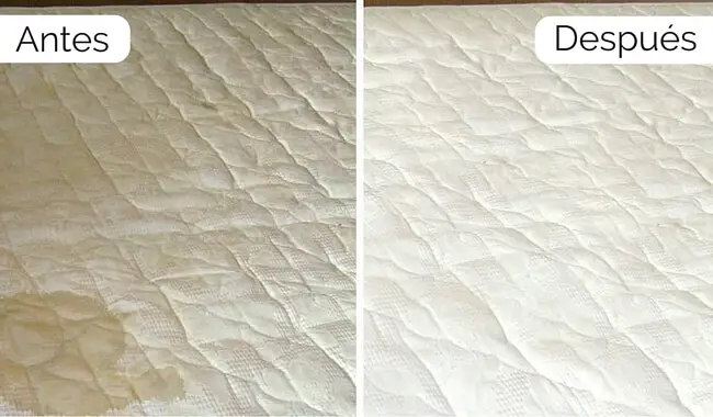 colchón con manchas y malos olores antes y después de su correcta limpieza