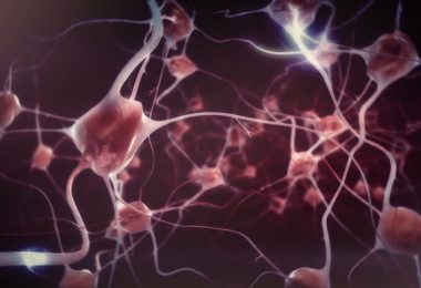 Neuronas activas