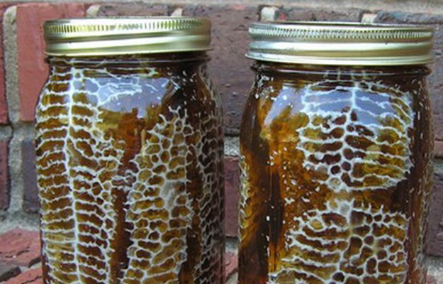 colmena y panal de abejas