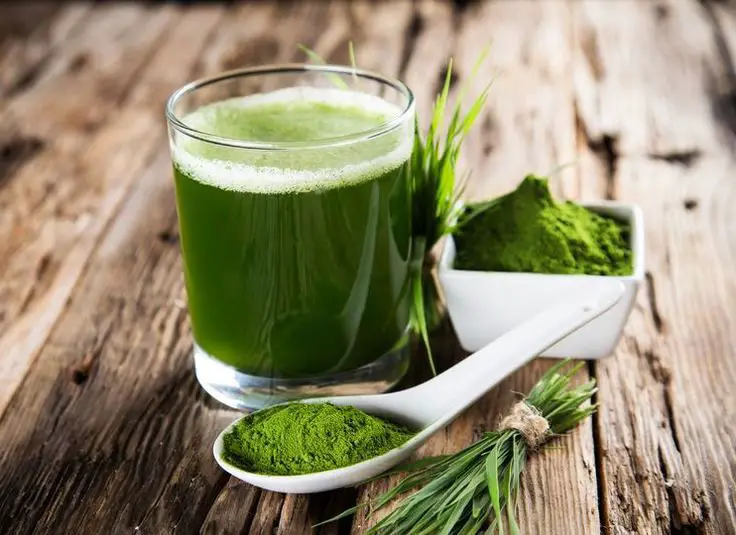 shot de moringa beneficios