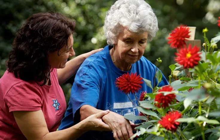 jardinería como terapia antiestrés