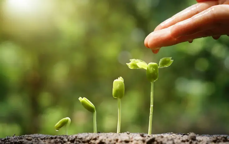 jardinería hace feliz