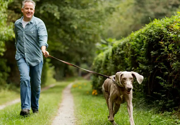 caminando con su mascota por un parque