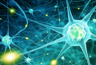 como es el funcionamiento de las neuronas