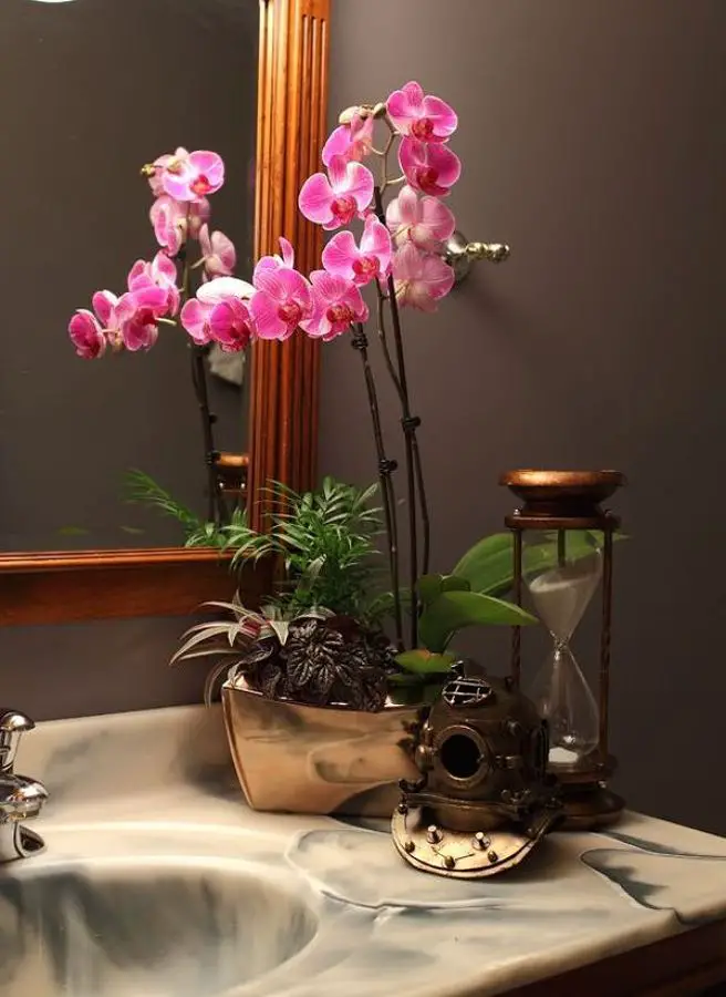 Las 5 mejores plantas para el baño y por qué deberías tenerlas