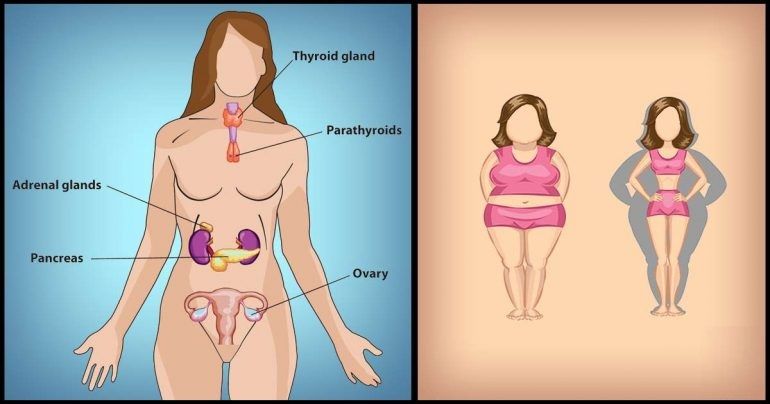 plantas que te ayudarÃ¡n a equilibrar las hiormonas