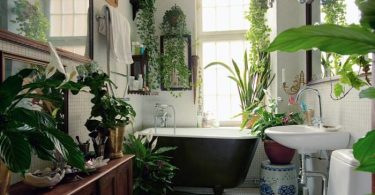 plantas de interior que van muy bien con el baño