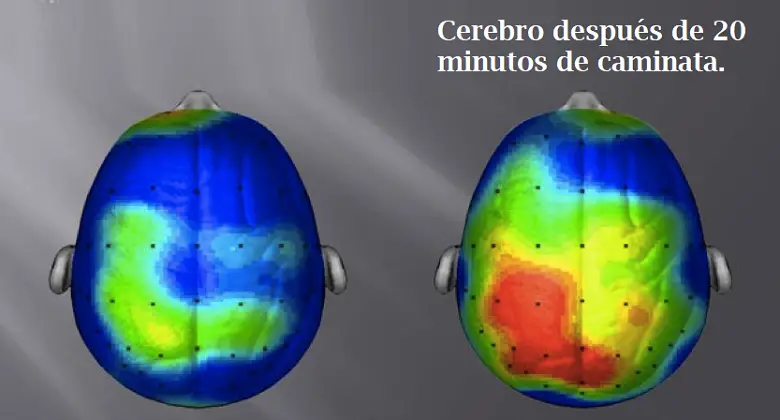 caminar ayuda en la niebla cerebral