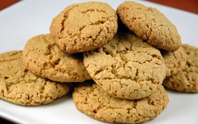 galletas hechas con avena