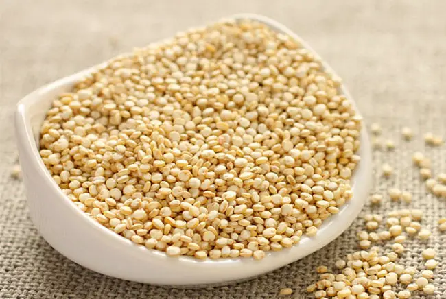 semillas de quinoa