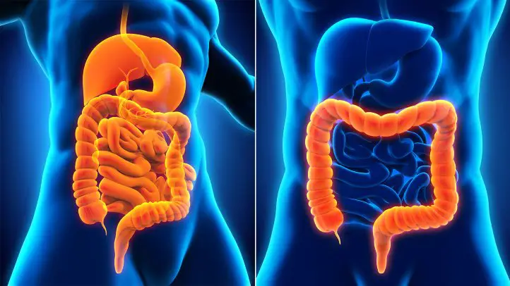 Conoce las causas y síntomas de la colitis ulcerosa