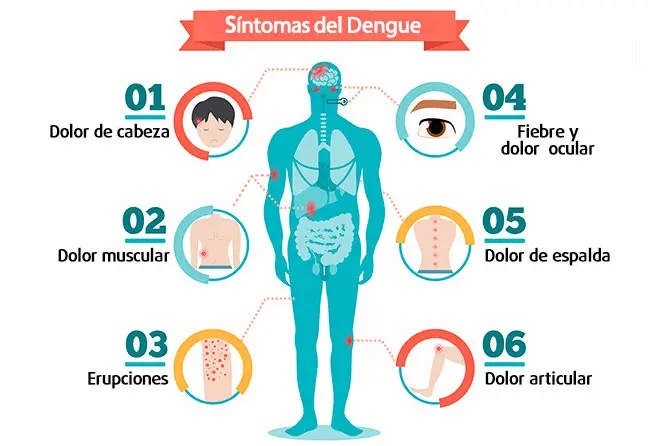 Conociendo los síntomas del dengue