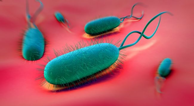 Gráfico gastroenteritis bacteriana