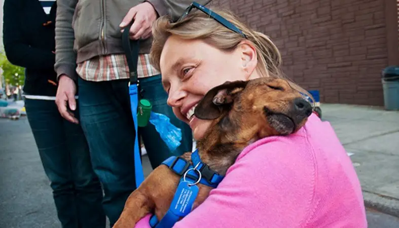 adoptar una mascota de un refugio