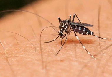 Los síntomas del virus del zika