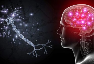 Conoce los mejores ejercicios para entrenar el cerebro para pensar creativamente