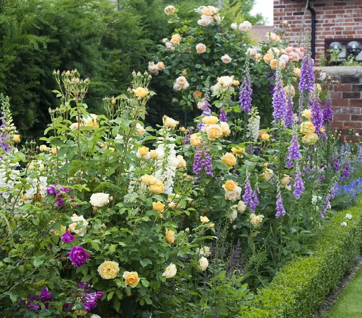 jardínes hermosos de flores