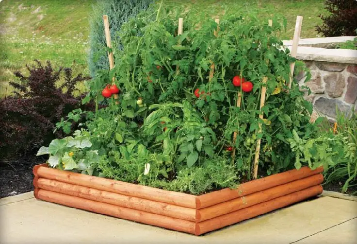 jardines hermosos de hortalizas