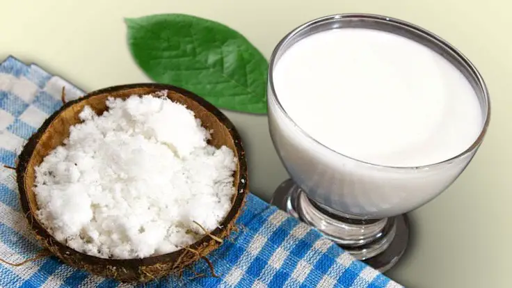 leche de coco como fuentes de electrolitos