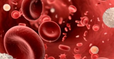 Conoce cuáles son las causas de la anemia, síntomas y tratamientos recomendados