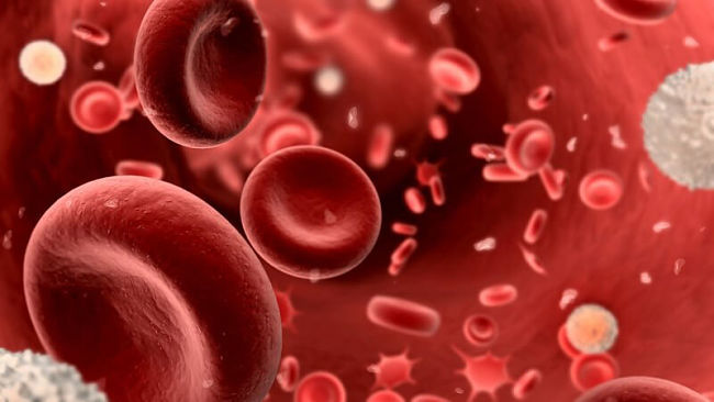 Conoce cuáles son las causas de la anemia, síntomas y tratamientos recomendados