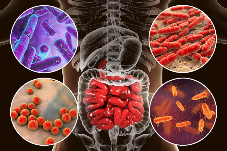 bacterias intestinales