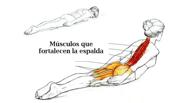 ejercicios para tratar la espalda
