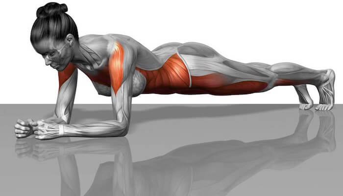 plank ejercicios para mejorar la postura