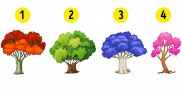 Elige un árbol y descubre qué emoción domina tu vida