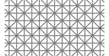 Cuantos puntos negros ves test