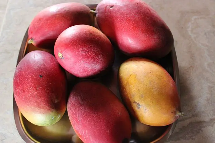 Mangos africanos para bajar de peso