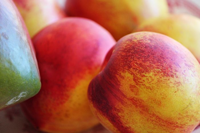 Mangos africanos