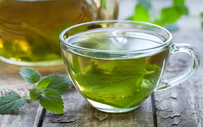 taza de infusión con menta poleo