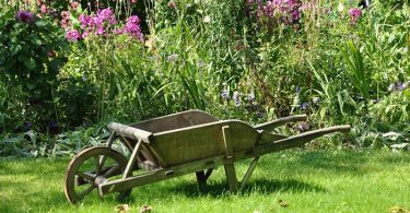 Cómo prevenir el crecimeinto de las malas hierbas en el jardín